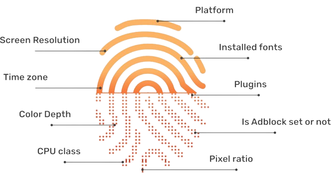Browser Fingerprint